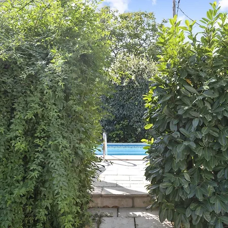 Apartman Regina *