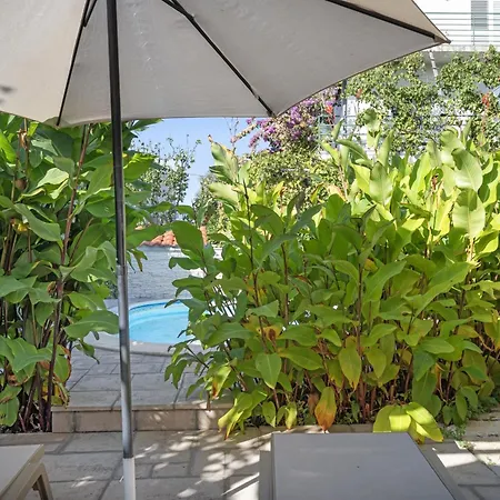 Regina Brodarica (Sibenik-Knin)